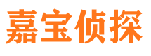 衡东市侦探公司